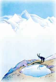 Samivel: 100 ans - theClimber.be